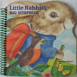 Little Rabbit's Big Surprise