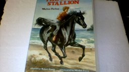 The Black Stallion