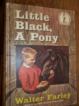 Little Black, a Pony