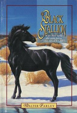 The Black Stallion