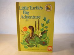Little Turtles Big Adventure