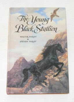 The Young Black Stallion