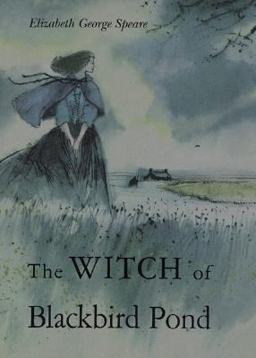 Witch of Blackbird Pond A Newbery Award Winner  9780395071144 Front Cover