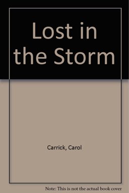 Lost in the Storm