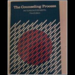 The Counseling Process