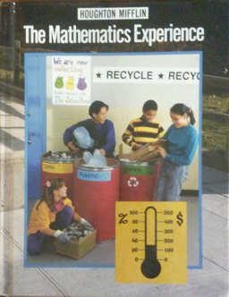 The Mathematics Experience