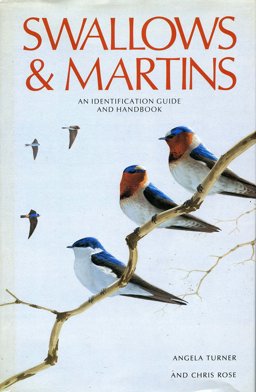 Swallows and Martins