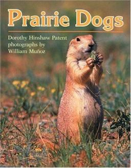 Prairie Dogs