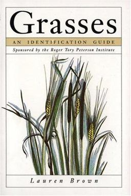 Grasses An Identification Guide  9780395628812 Front Cover