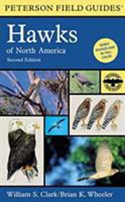 A Peterson Field Guide to Hawks of North America