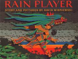 Rain Player  9780395720837 Front Cover