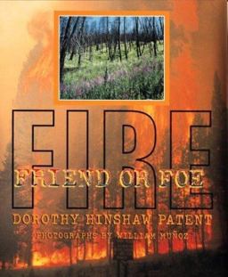 Fire