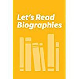 Houghton Mifflin We the People