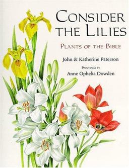Consider the Lilies