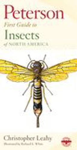 Peterson First Guide to Insects of North America 2nd 9780395906644 Front Cover