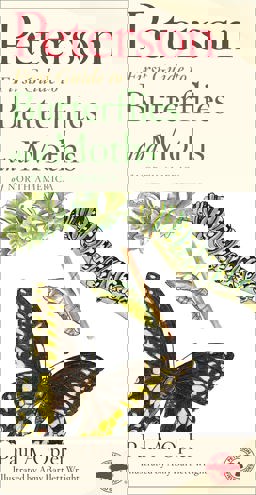 Peterson First Guide to Butterflies and Moths