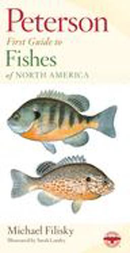 Peterson First Guide to Fishes of North America 2nd 9780395911792 Front Cover