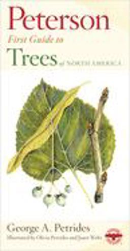 Peterson First Guide to Trees 2nd 9780395911839 Front Cover