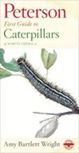 Peterson First Guide to Caterpillars of North America 2nd 9780395911846 Front Cover