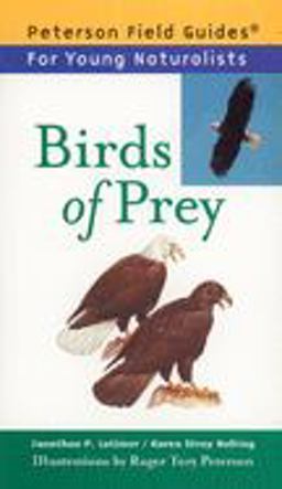 Birds of Prey