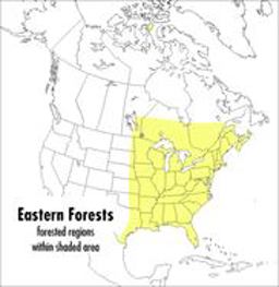 Peterson Field Guide to Eastern Forests North America  9780395928950 Front Cover