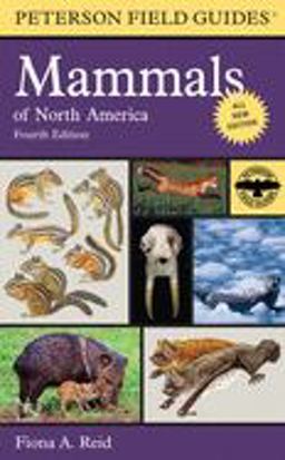 Peterson Field Guide to Mammals of North America 4th 9780395935965 Front Cover