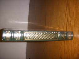 The Pilgrim's Progress