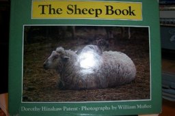 The Sheep Book
