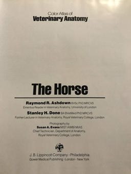 Veterinary Anatomy The Horse  9780397583041 Front Cover