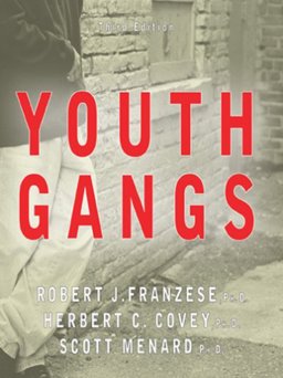 Youth Gangs 3rd 9780398076849 Front Cover