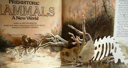 Prehistoric Mammals