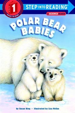 Polar Bear Babies  9780399549540 Front Cover