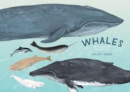 Whales An Illustrated Celebration  9780399581830 Front Cover