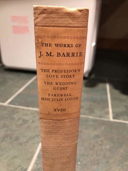 The Professor's Love-Story, Etc.