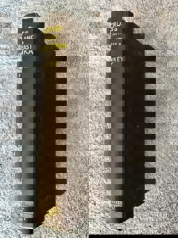 Cross and Swastika, the Ordeal of the German Church