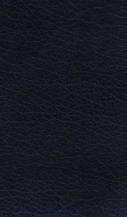 University Drama in the Tudor Age