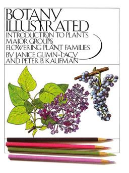Botany Illustrated : Introduction to Plants, Major Groups and Flowering Plant Families 1st 9780412078712 Front Cover
