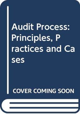 The Audit Process