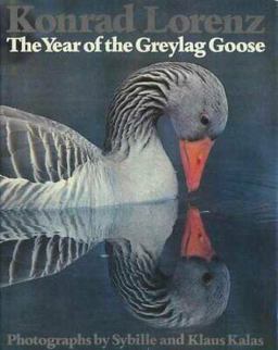 The Year of the Greylag Goose