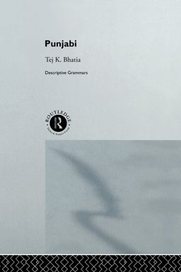 Punjabi  9780415003209 Front Cover