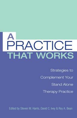 Practice That Works Strategies to Complement Your Stand Alone Therapy Practice  9780415861168 Front Cover
