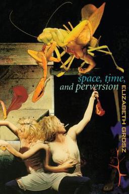 Space, Time and Perversion Essays on the Politics of Bodies  9780415911375 Front Cover