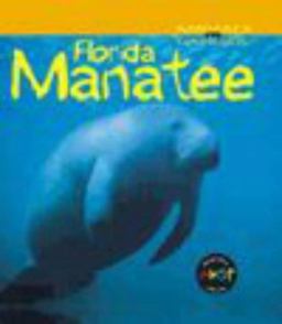 Florida Manatee Florida Manatee