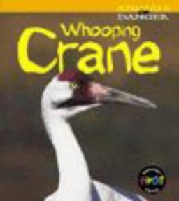 Whooping Crane
