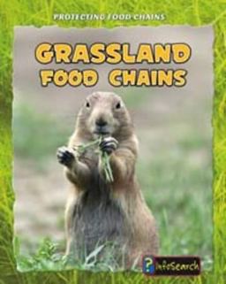 Grassland Food Chains