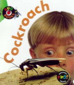 Cockroach