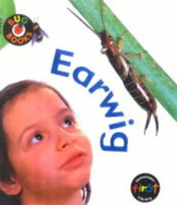 Earwigs Earwigs