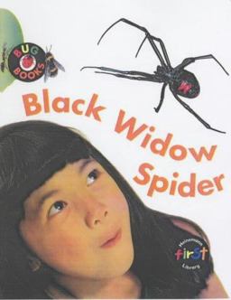Black Widow Spider