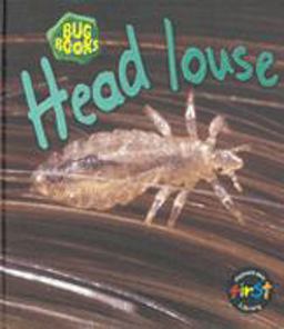 Head Louse