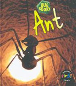 Ant